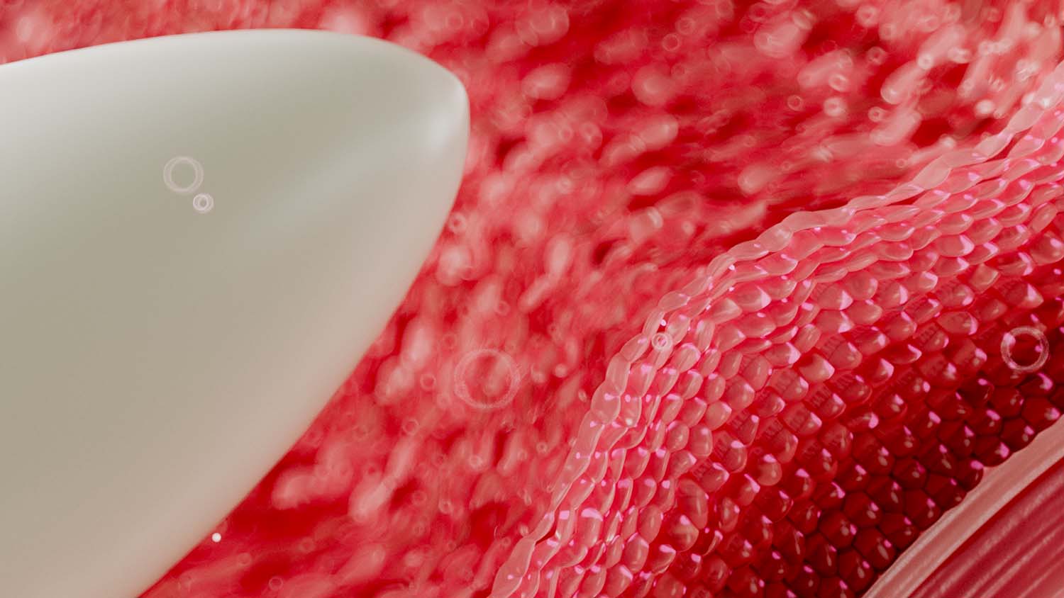 Bonafide project still 3