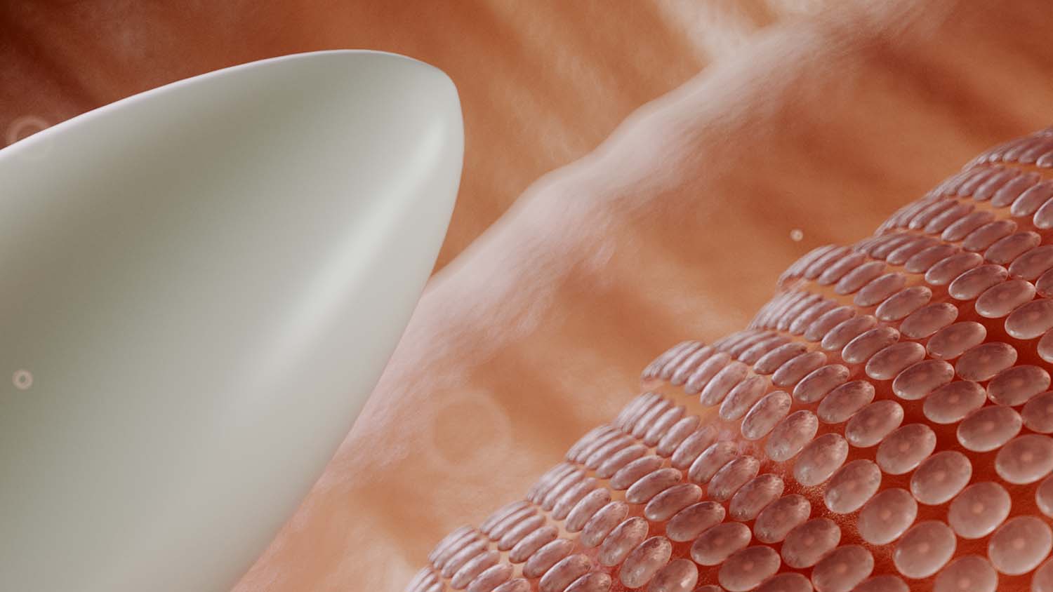 Bonafide project still 4