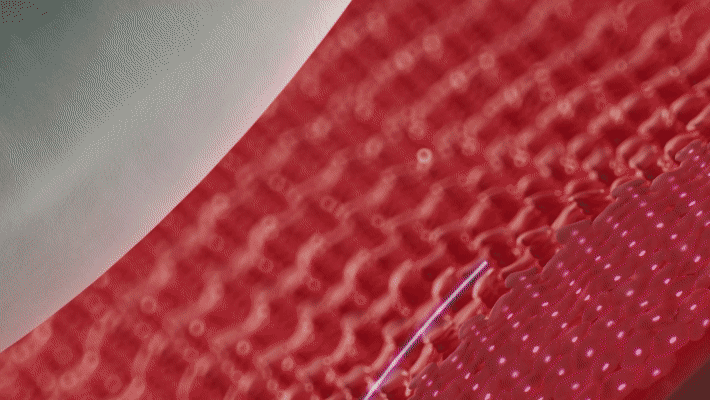 Bonafide motion study 2