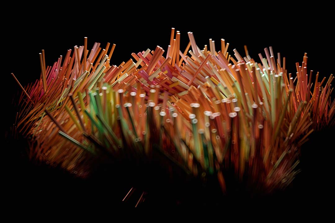 Bornmine wide composition