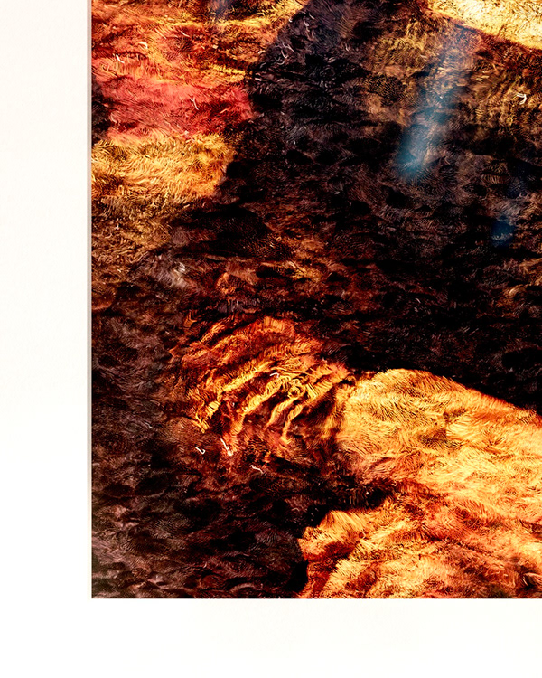 Monalisa artwork close-up detail