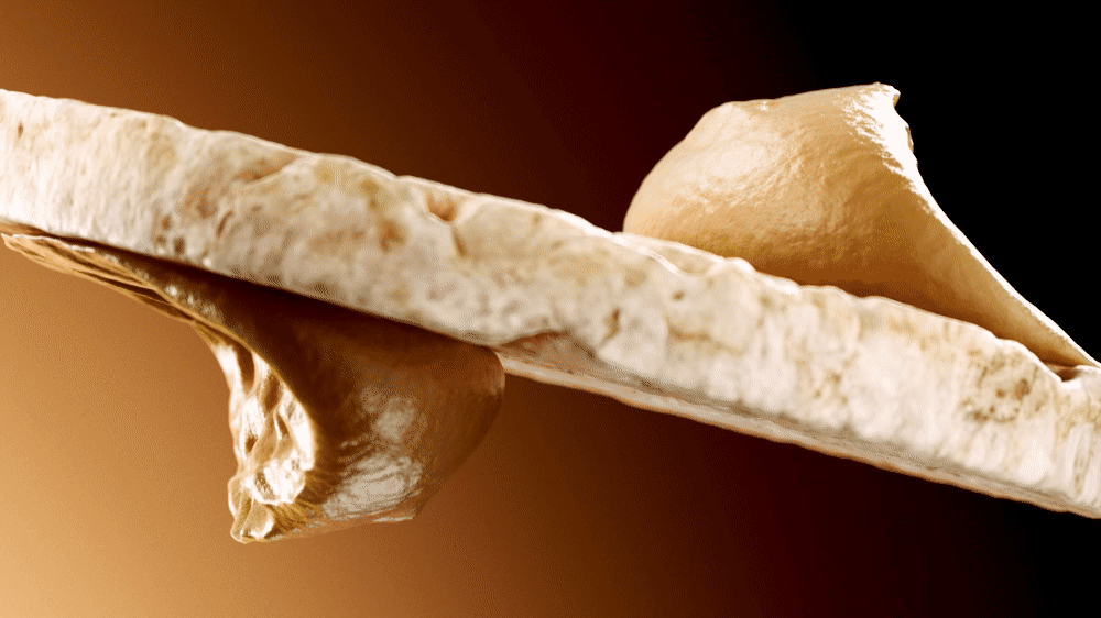 Skippy wide motion study